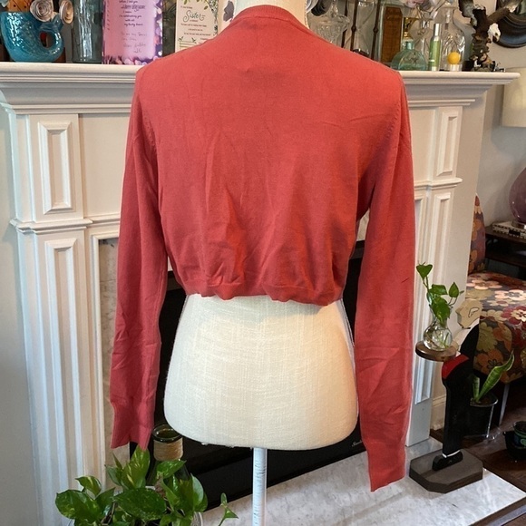 The limited short waisted sweater -rust color size M - Picture 3 of 9
